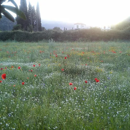 Countryside Studios
