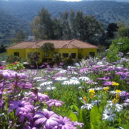 Apartment Countryside Studios Agia Efimia