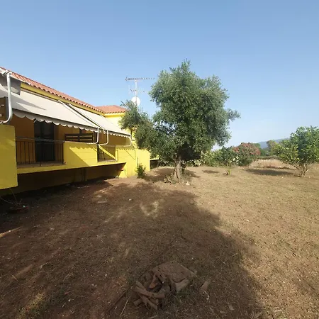 Countryside * Αγία Ευφημία